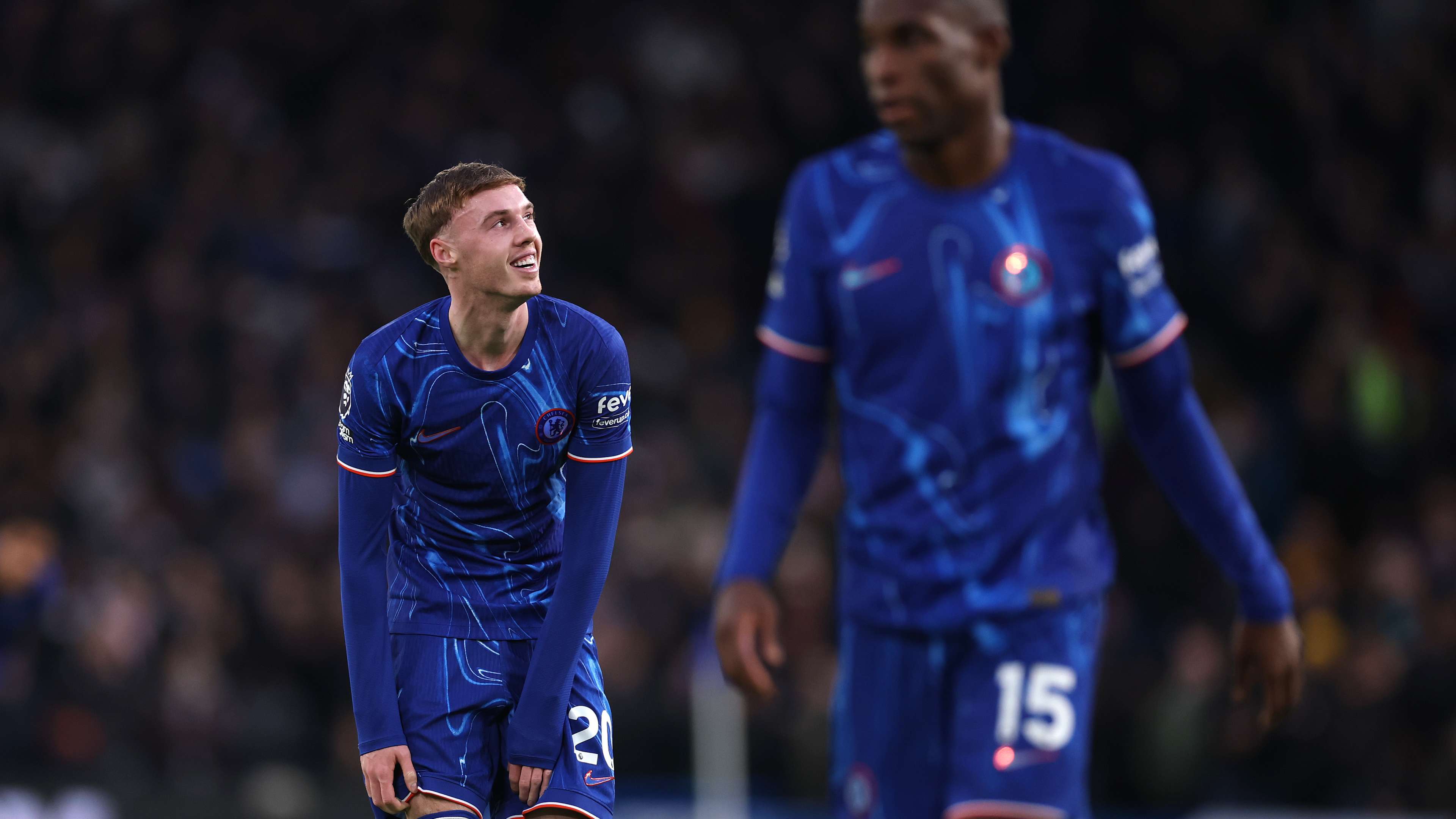 引了全世界 引了全世界